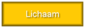 Lichaam